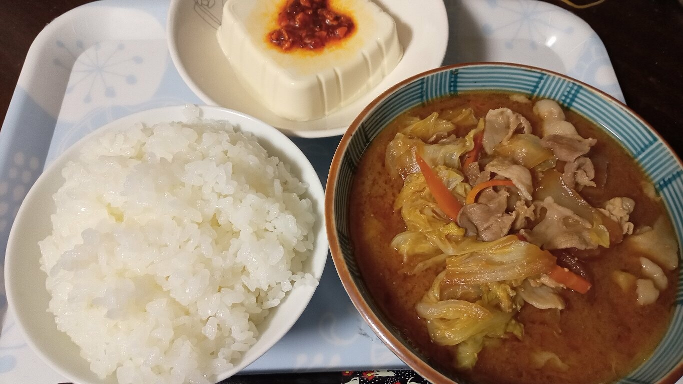 米ととり野菜と冷や奴